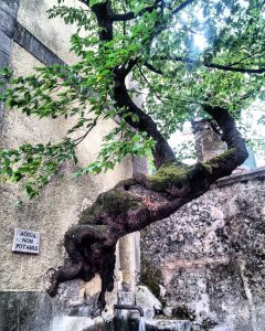 Torre civica e fontana del Gavitone