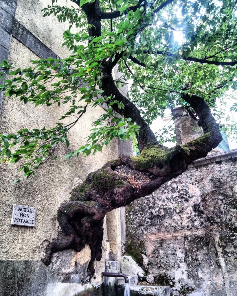 Torre civica e fontana del Gavitone